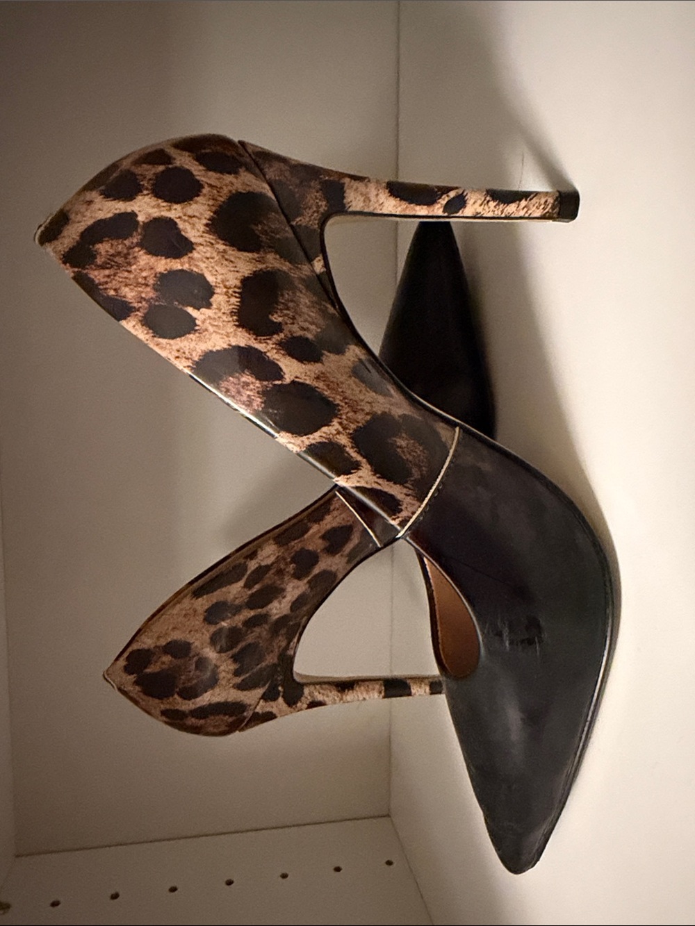 Steve Madden Leopard Print Pumps with Black Toe Cap